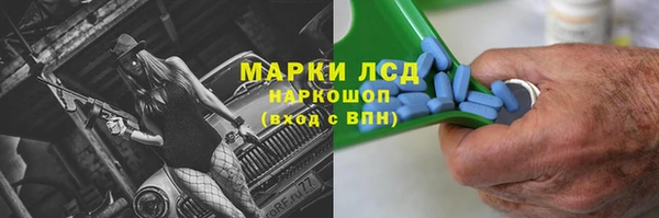 ГАЛЛЮЦИНОГЕННЫЕ ГРИБЫ Алексин