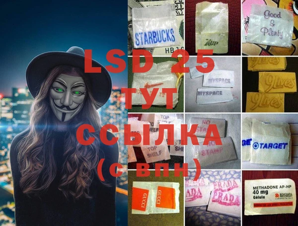 ГАЛЛЮЦИНОГЕННЫЕ ГРИБЫ Алексин