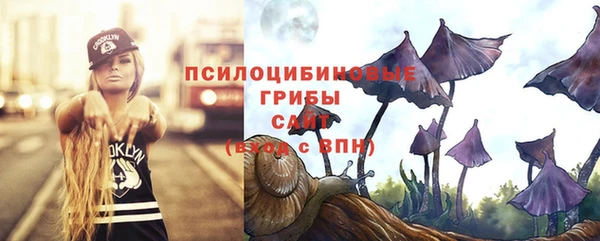 прущая мука Алзамай