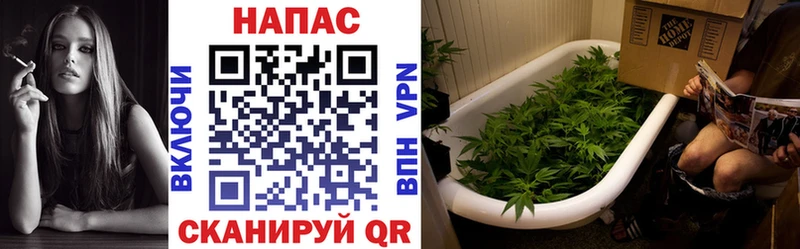 Марихуана семена Кудымкар